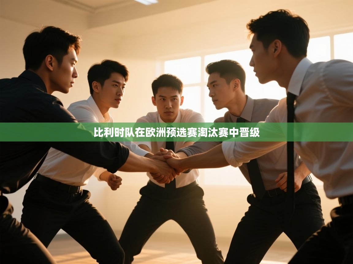 比利时队在欧洲预选赛淘汰赛中晋级  第1张