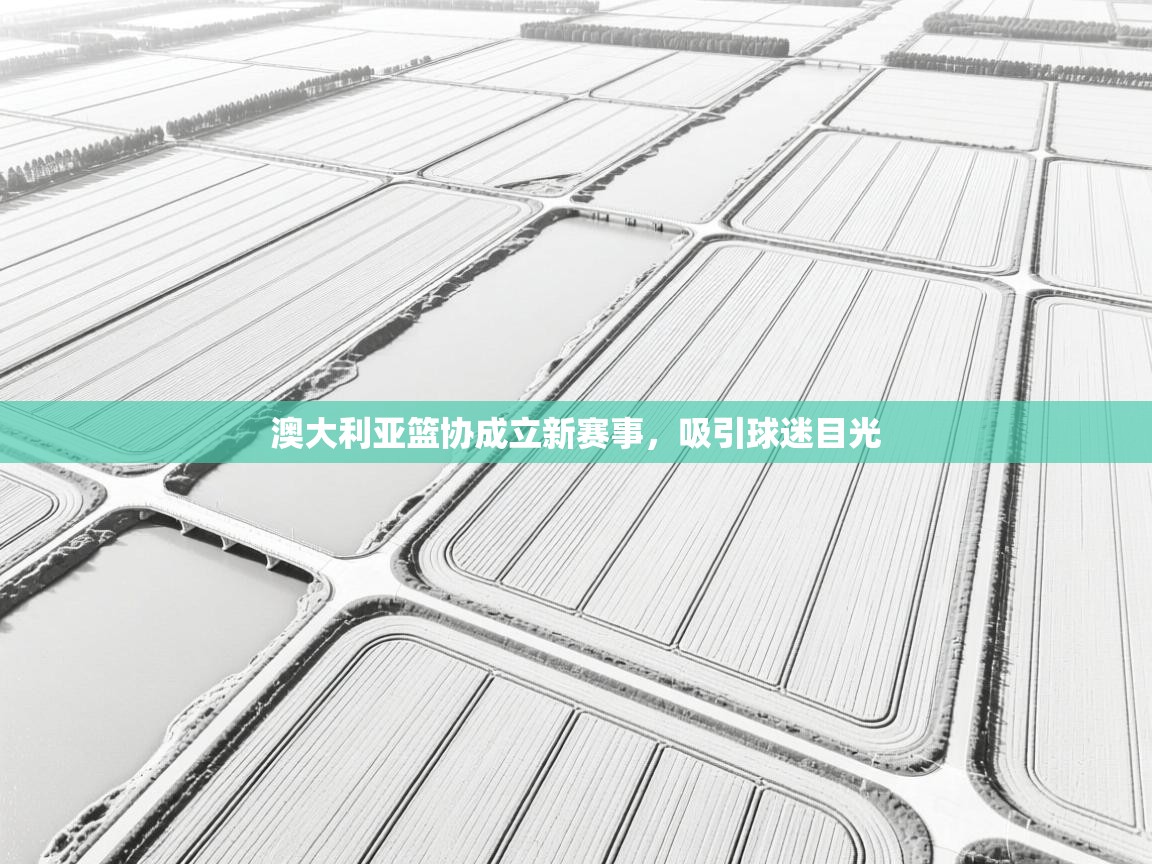 澳大利亚篮协成立新赛事,吸引球迷目光 第1张